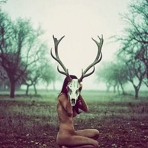 Meet your Posher, Courtney